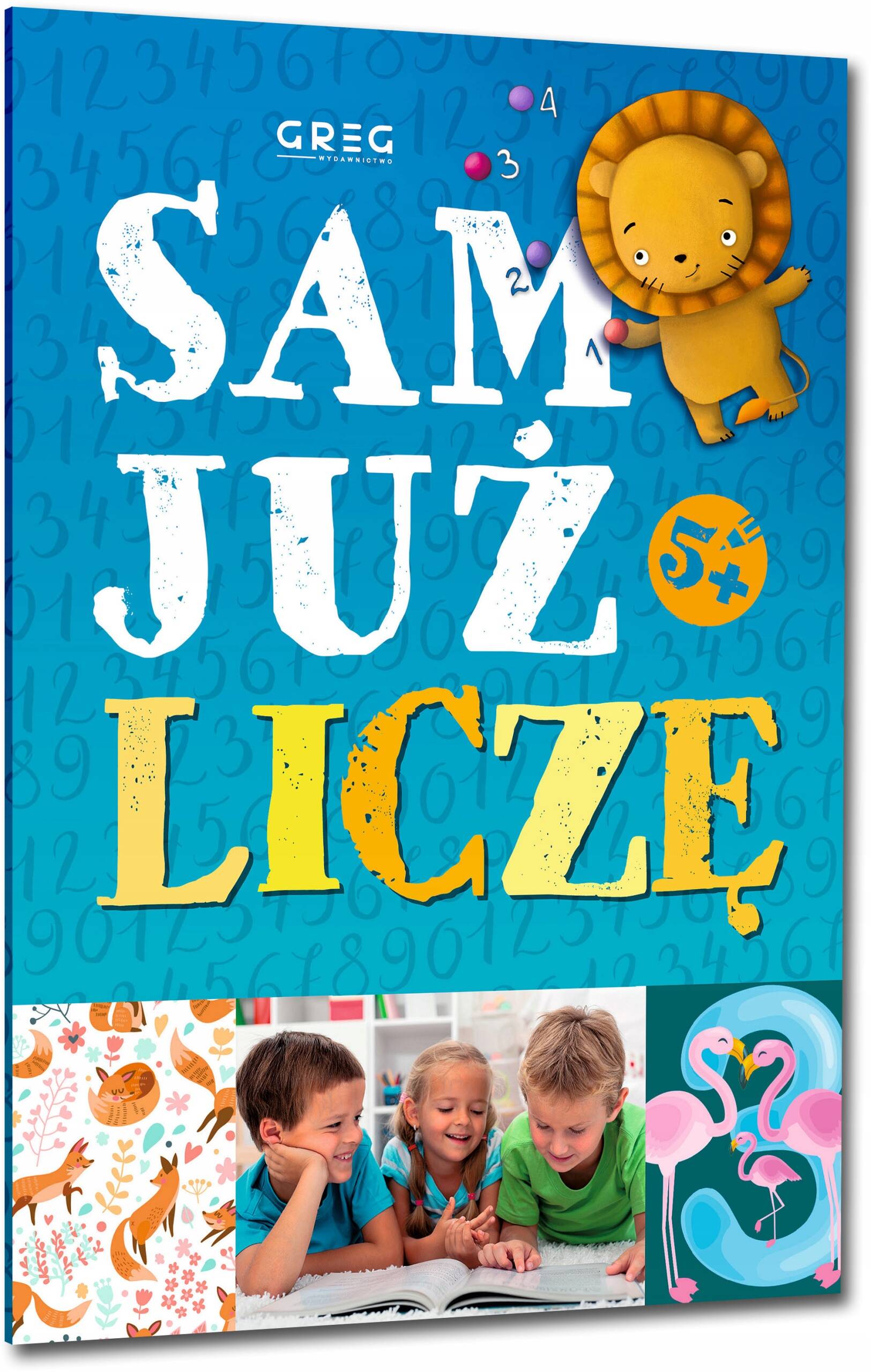 Sam Już Liczę Nauka Liczenia Renata Pitala Greg_1