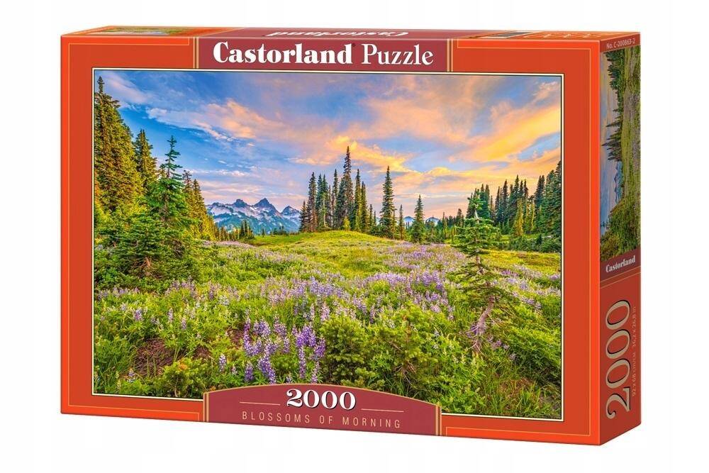 PUZZLE 2000 UKŁADANKA WIDOK KRAJOBRAZ GÓRY LAS KWIATY ŁĄKA 9+ CASTOR_2