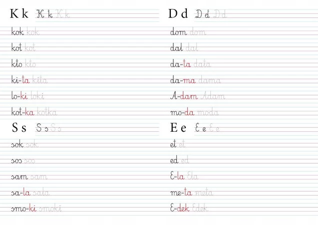 Zabawa Sylabami Małego Smyka Przeczytaj I Napisz + 74 Naklejek BooksAndFun_2