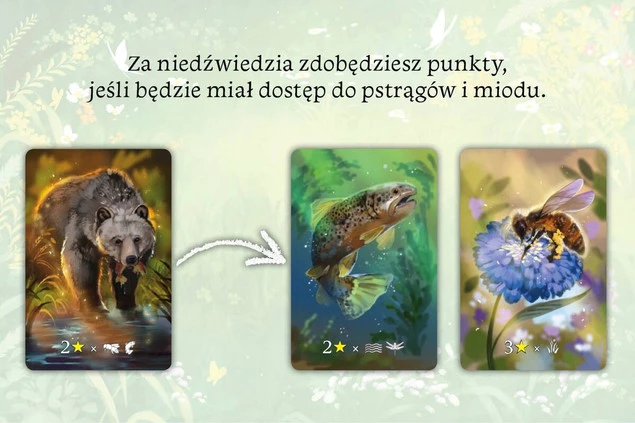 Ekosystem Gra Planszowa Przygodowa Tworzenie Krainy 8+ Nasza Księgarnia_3