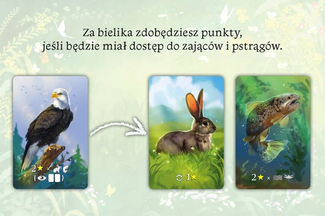 Ekosystem Gra Planszowa Przygodowa Tworzenie Krainy 8+ Nasza Księgarnia_5