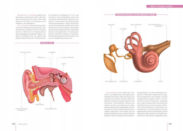 Atlas ANATOMI Budowa i Funkcjonowanie Justyna Mazurek SBM_5