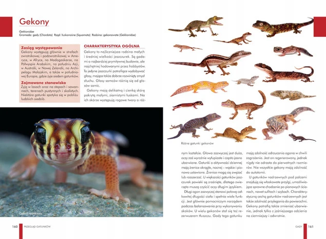 Atlas ZWIERZĄT DOMOWYCH Zwyczaje Wygląd Potrzeby Wymagania SBM_5