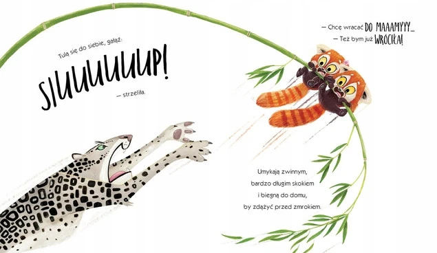 Ilustracja z książki