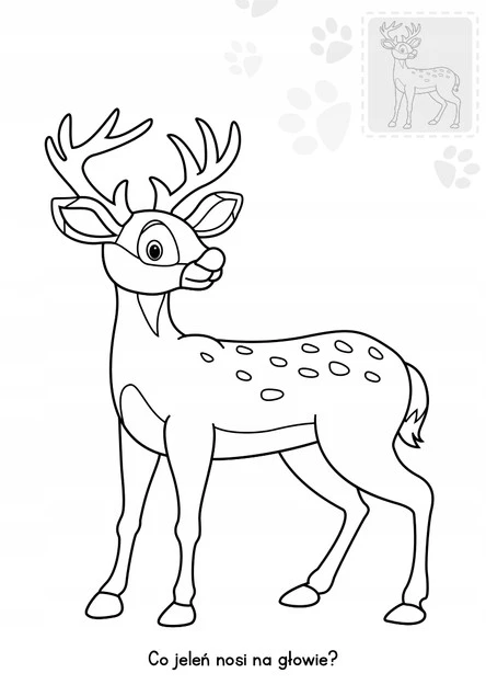 Brzdące Kolorują ZWIERZAKI W LESIE Naklejki Świecące W Ciemności 3+ Skrzat_2