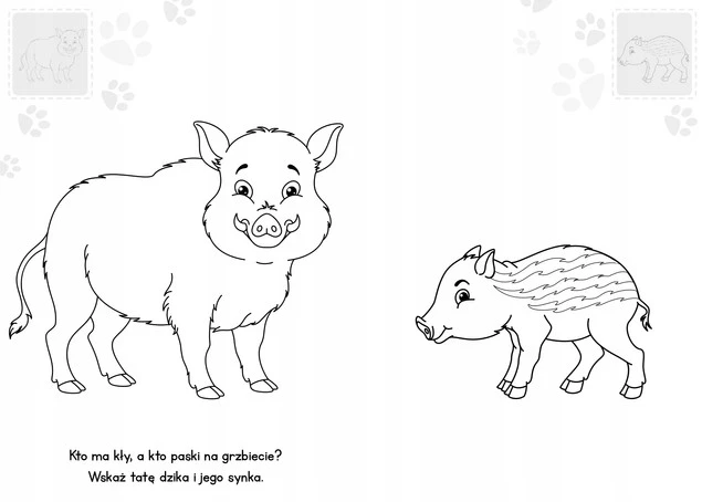 Brzdące Kolorują ZWIERZAKI W LESIE Naklejki Świecące W Ciemności 3+ Skrzat_3