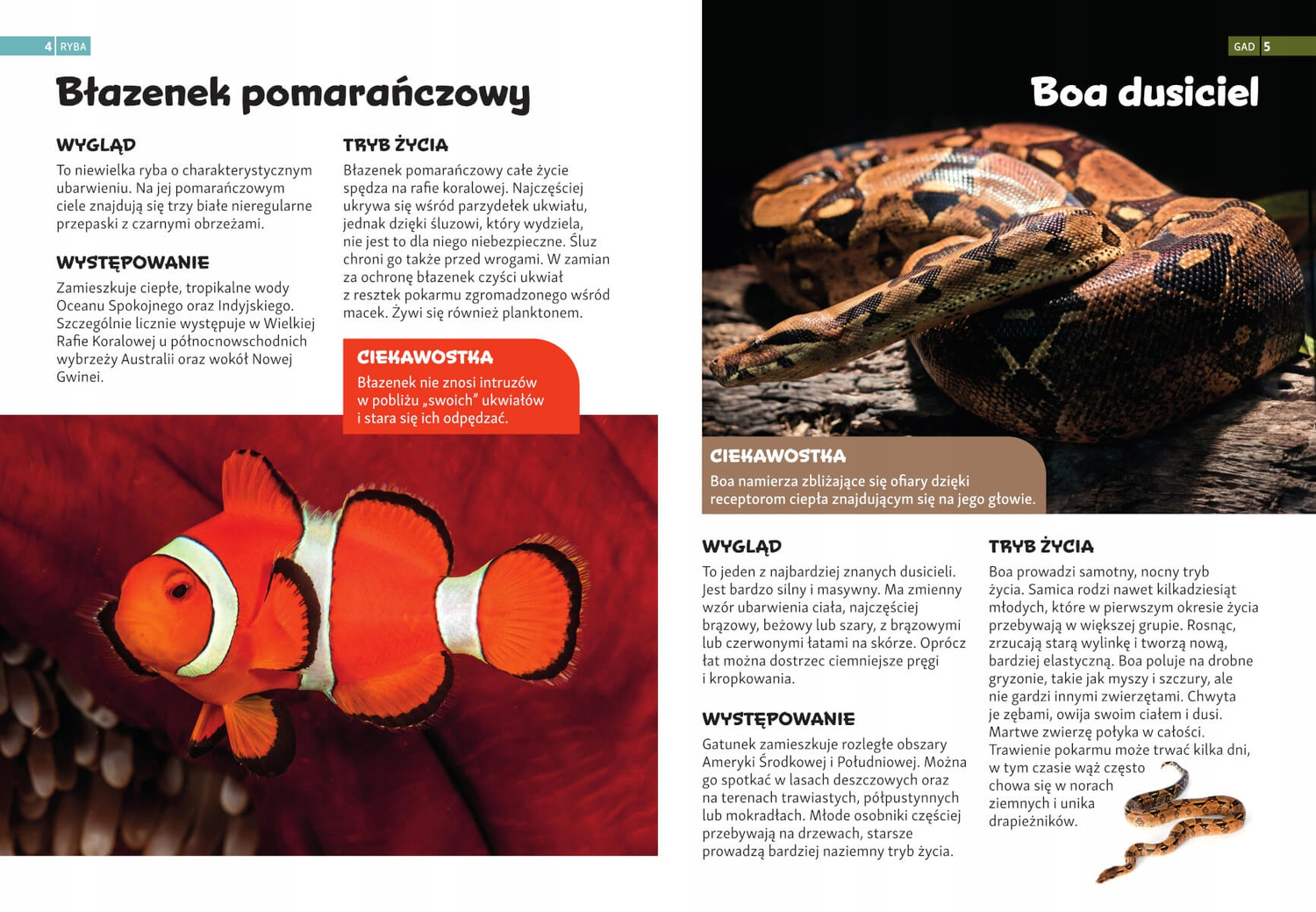 Encyklopedia ZWIERZĄT Dla Dzieci SBM_2