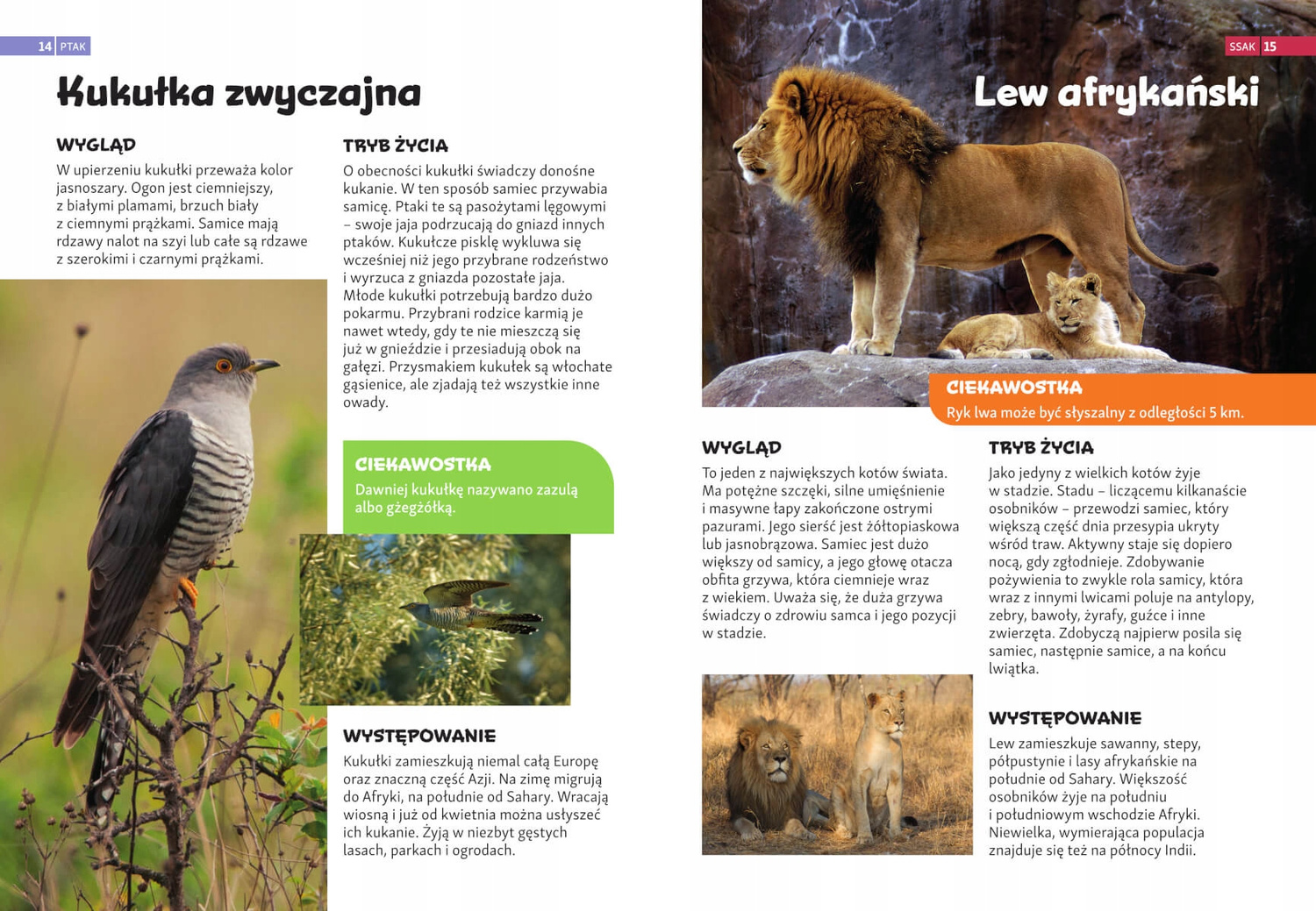 Encyklopedia ZWIERZĄT Dla Dzieci SBM_3