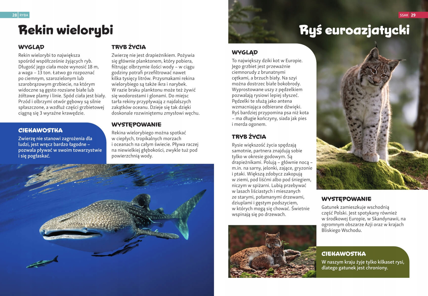 Encyklopedia ZWIERZĄT Dla Dzieci SBM_4