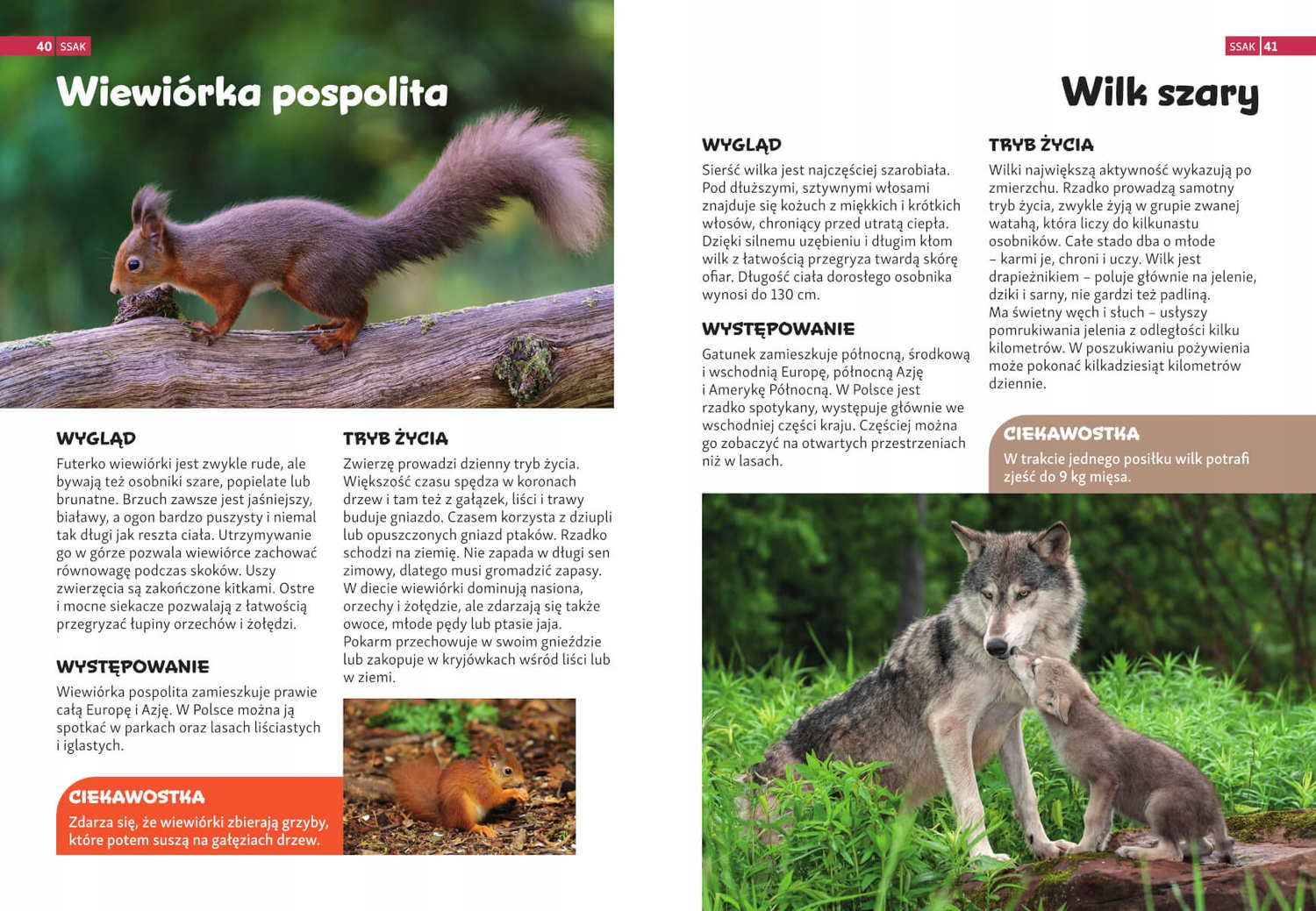 Encyklopedia ZWIERZĄT Dla Dzieci SBM_5