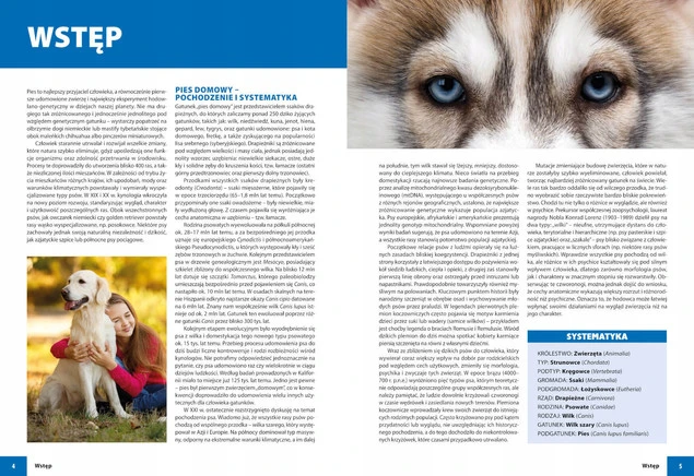 PSY RASOWE Album Informacje Zwyczaje Potrzeby Wymagania I. Przeczek SBM_2