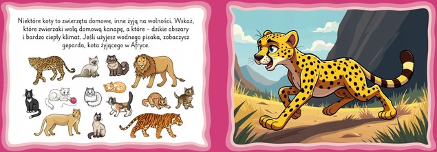 Zadanka i Malowanki Wodne KOTKI z Pisakiem 3+ Skrzat_3