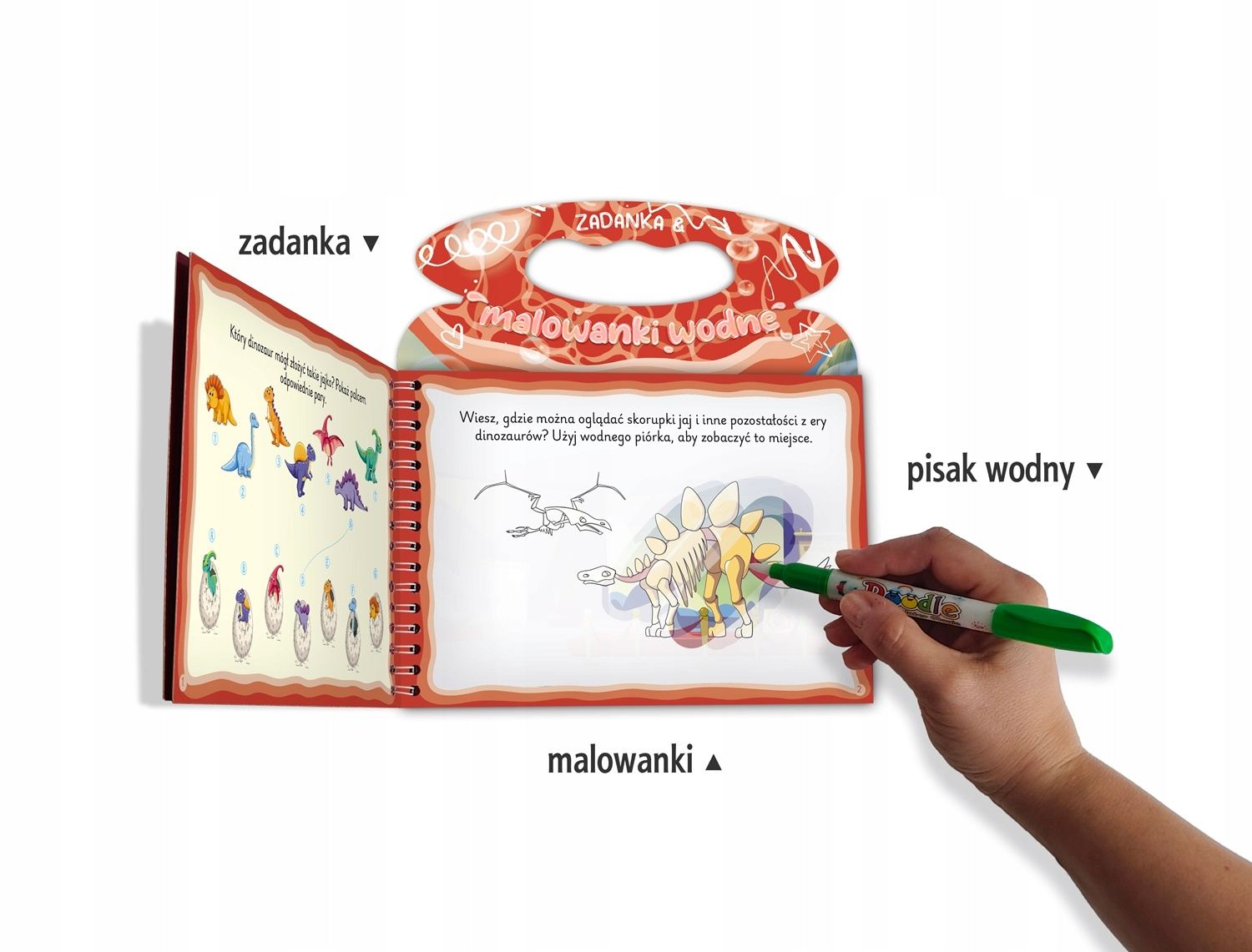 Zadanka i Malowanki Wodne DINOZAURY z Pisakiem 3+ Skrzat_2