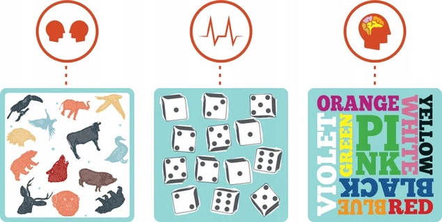 CORTEX Gra Planszowa Rozbudzająca Twoje Zmysły 2-6 Osób 8+ Rebel_2