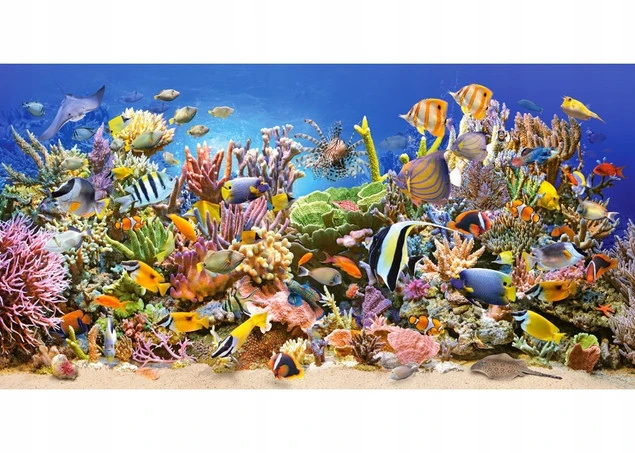 Puzzle 4000 Układanka Ocean ORGANIZMY MORSKIE Ryby Woda Kolor 9+ Castorland_2
