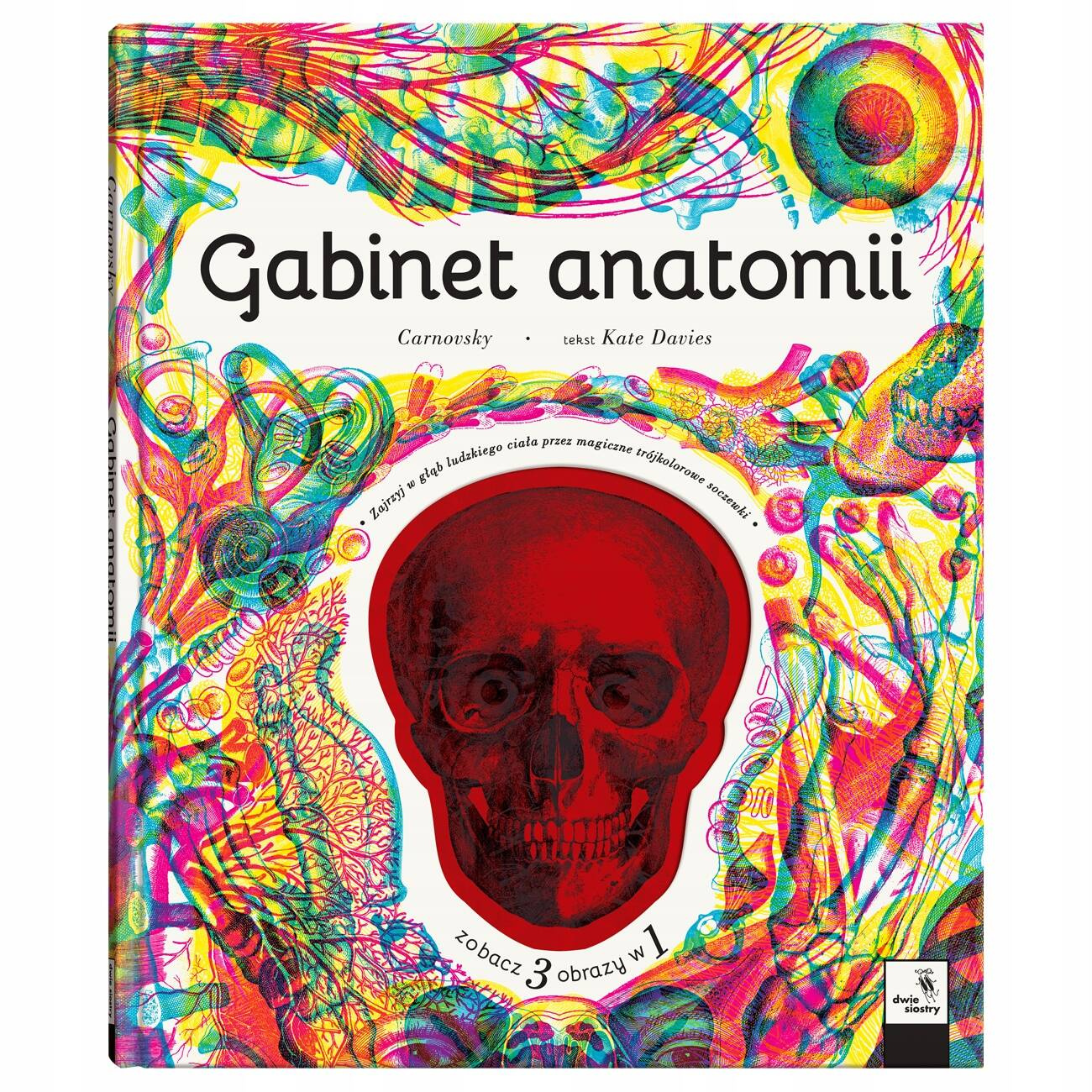 Gabinet Anatomii 