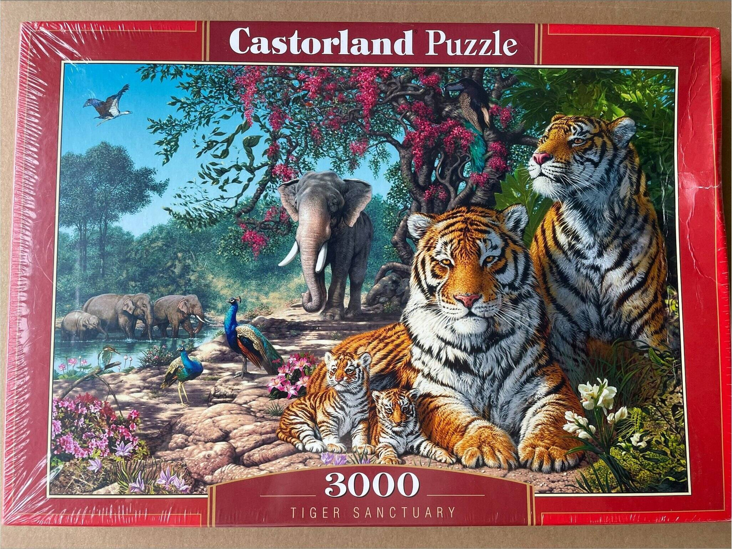 Puzzle 3000 Tygrys Słoń Dzikie Zwierzęta Natura Przyroda 9+ Castor OUTLET_1