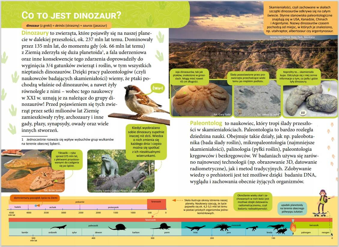 Mała Encyklopedia Dinozaury Fakty Ciekawostki Zofia Zabrzeska 5+ Skrzat_3