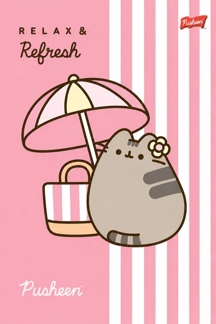 Zeszyt A4 Pusheen 32 kartki linia podwójna kolorowa do nauki pisania mix