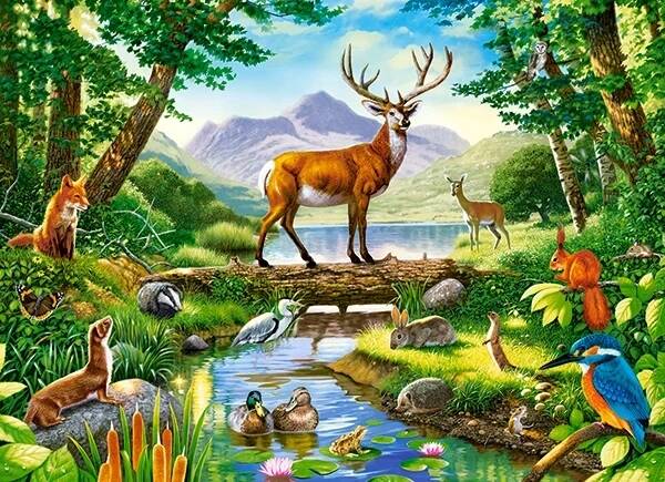 Puzzle 300 Układanka Las JELEŃ Zwierzęta Krajobraz Natura 8+ Castorland_1