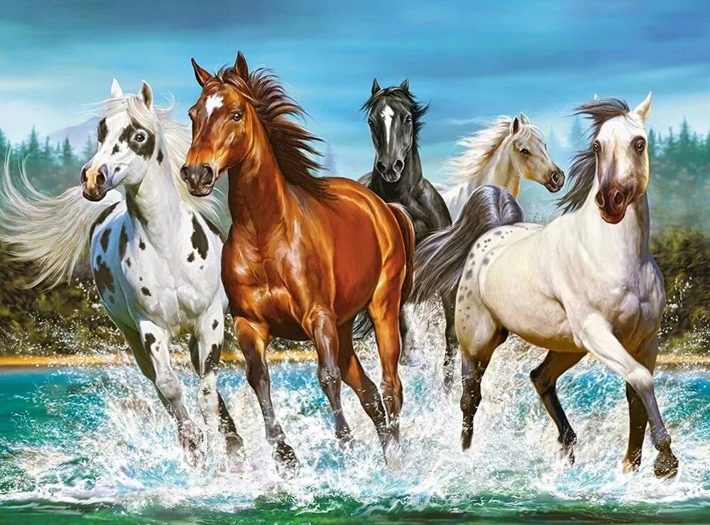 Puzzle 2000 Układanka ZWIERZĘTA Konie Koń Galop Woda NATURA 9+ Castor_1