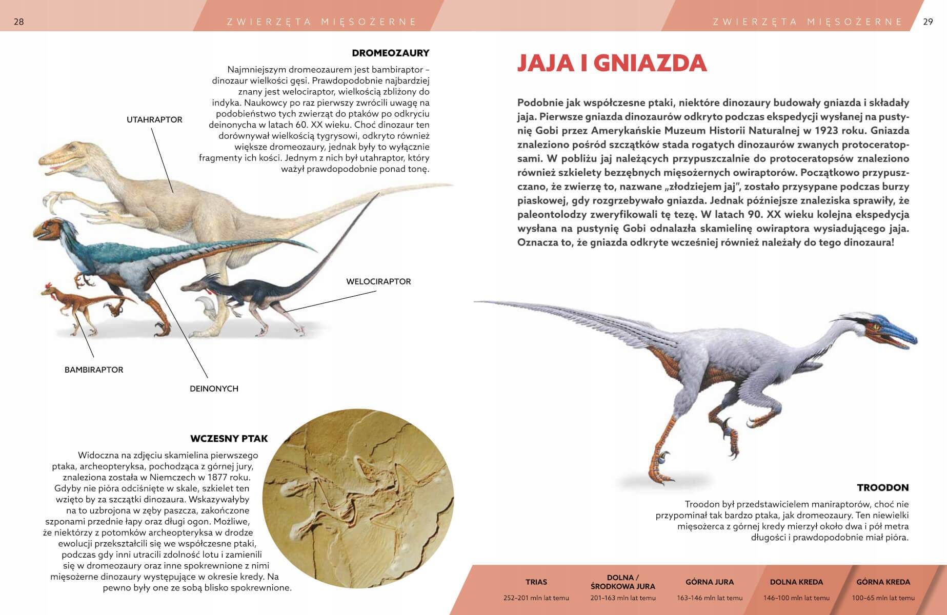 Encyklopedia DINOZAURY Książka O Dinozaurach SBM (TW)_3