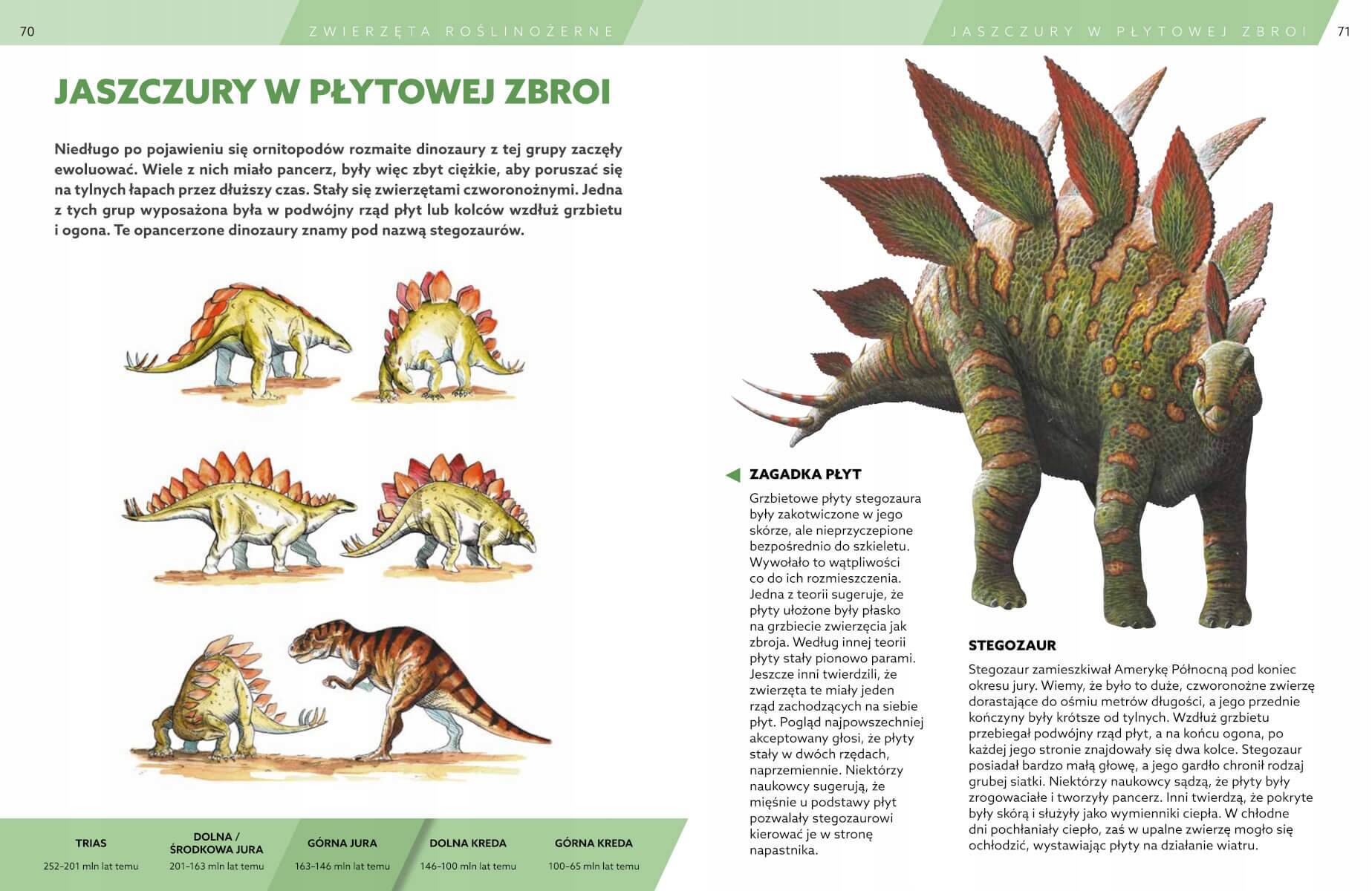 Encyklopedia DINOZAURY Książka O Dinozaurach SBM (TW)_4