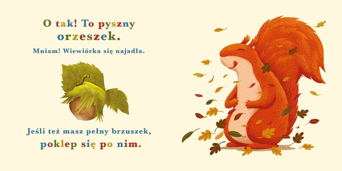 Rok W Lesie Wiewiórka Emilia Dziubak Katarzyna Piętka 0+ Nasza Księgarnia_4