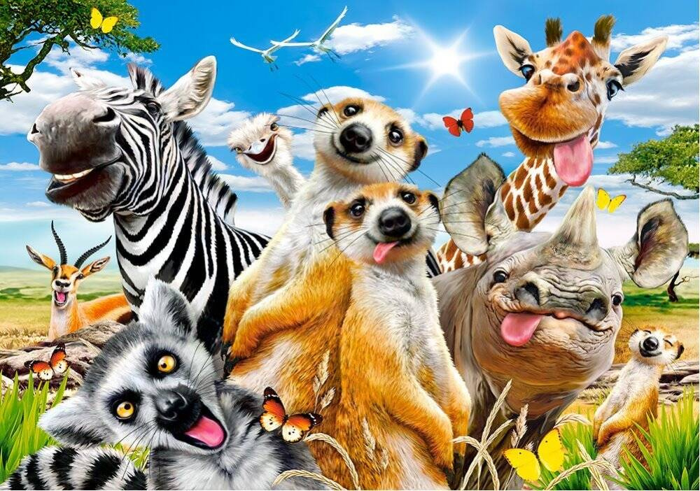 PUZZLE 500 UKŁADANKA ZWIERZĘTA AFRYKI SELFIE SAFARI ZEBRA ŻYRAFA 9+ CASTOR_2