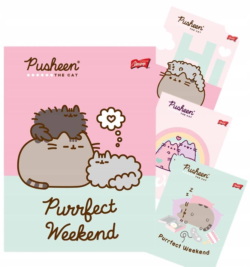 4x Zeszyt Szkolny A5 32k PUSHEEN W Kolorową Linię Unipap_1