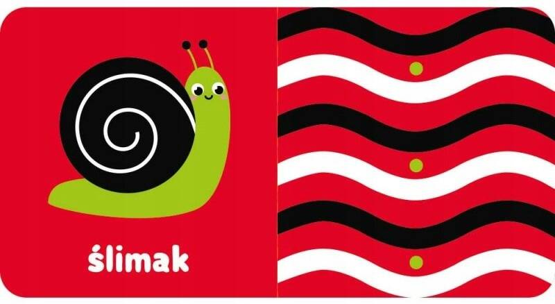 Książeczka Kontrastowa Z Wózkiem Zobacz Maluszku 0+ Aksjomat 3797_2