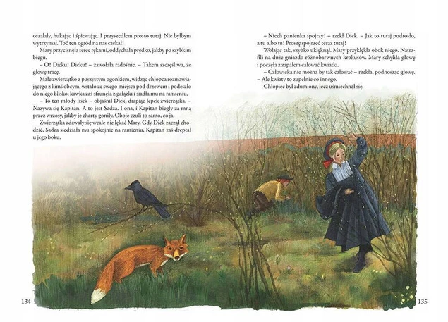 Tajemniczy Ogród Kolorowa Klasyka Frances Hodgson Burnett BR Greg_2