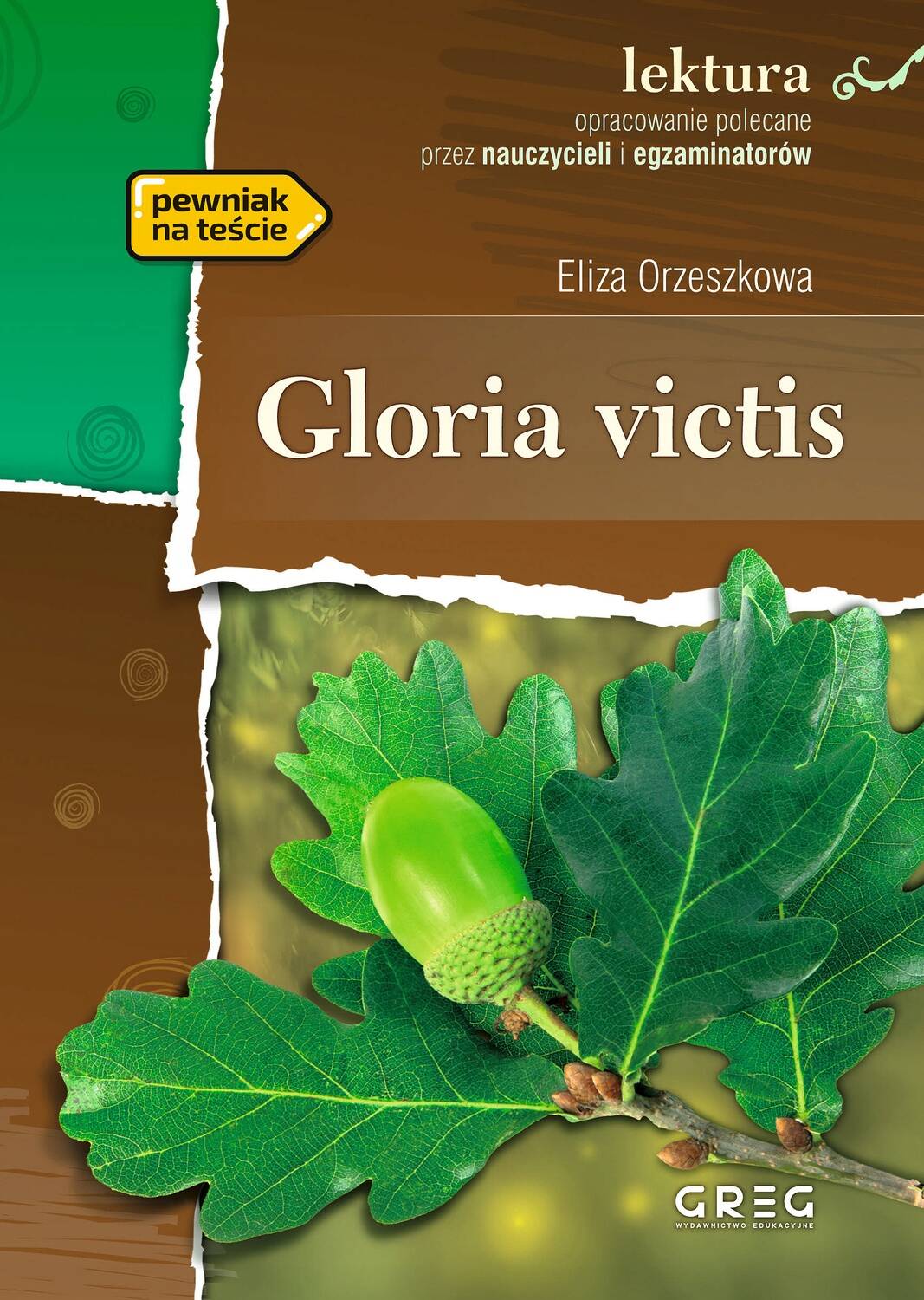 Gloria Victis Lektura Z Opracowaniem Eliza Orzeszkowa BR Greg_1