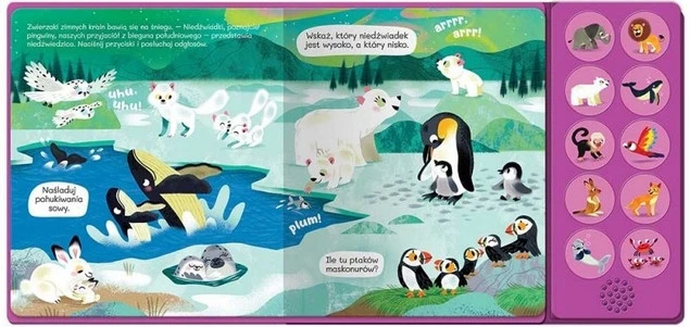 Wnętrze książeczki Słuchamy zwierząt W ZOO z panelem dźwiękowym