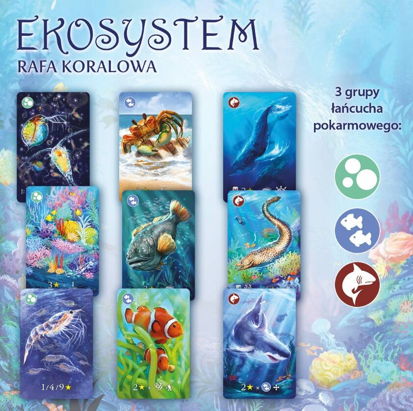 Ekosystem 2 Rafa Koralowa Gra Karciana 8+ Nasza Księgarnia_5