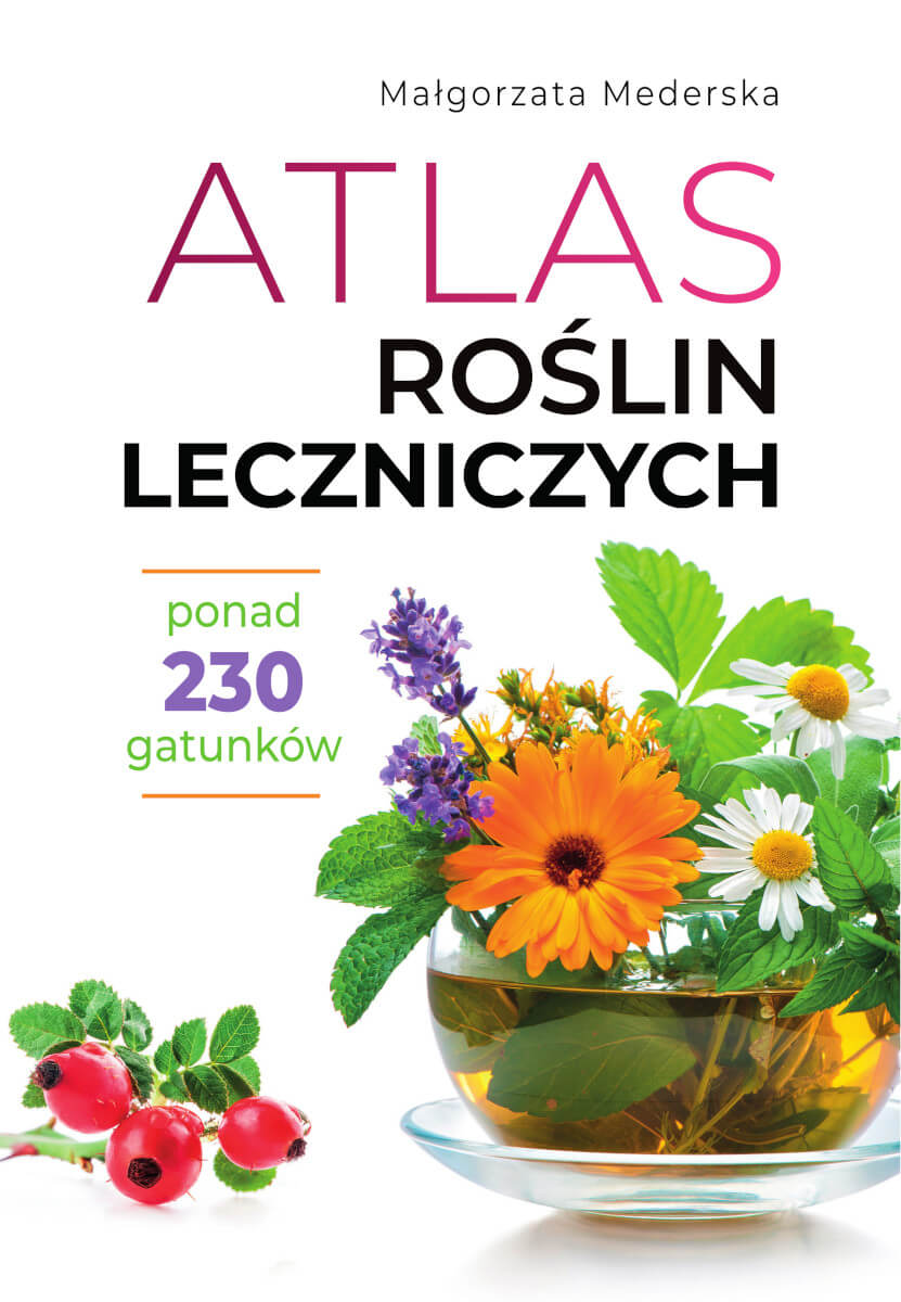 Atlas Roślin Leczniczych Ponad 230 Gatunków Małgorzata Mederska SBM_1