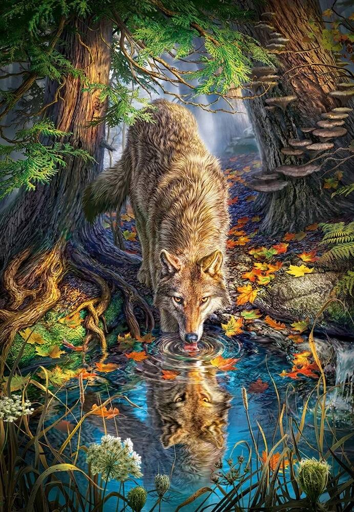 PUZZLE 1500 WILK DZIKIE ZWIERZĘTA NATURA DZIKA NATURA CASTORLAND_1