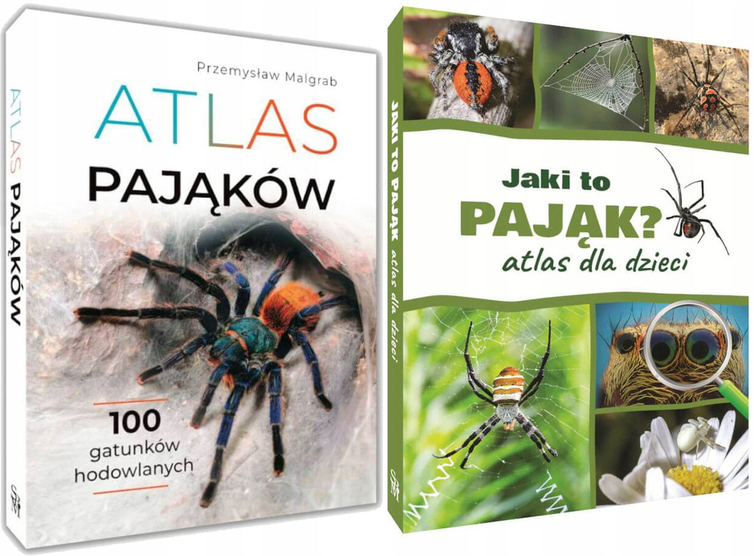 Zestaw Książek O PAJĄKACH Atlas Pająków Hodowlanych Jaki To Pająk? TW SBM_1