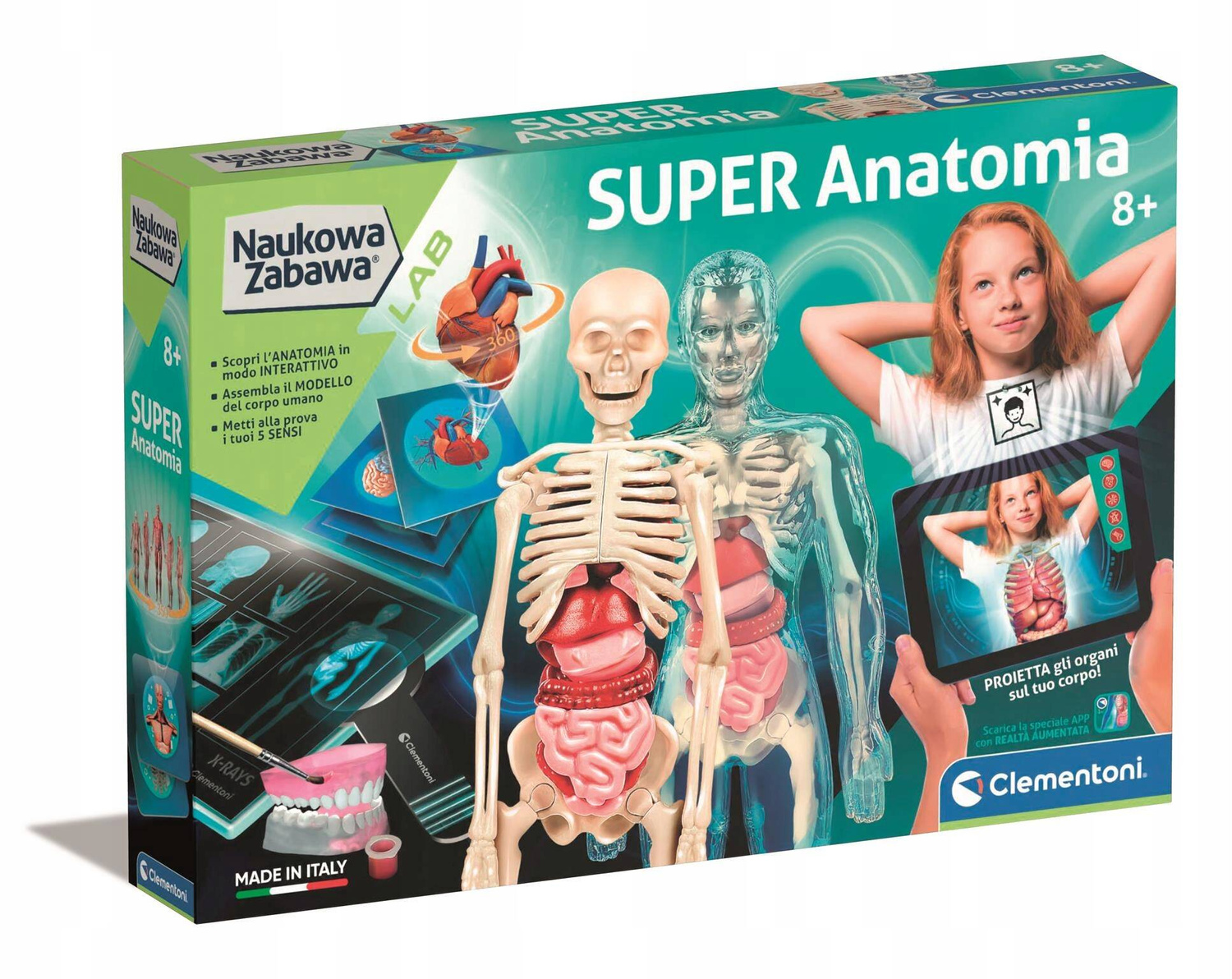 Zestaw Super ANATOMIA CZŁOWIEKA Nauka Zabawa Dla Dzieci 8+ Clementoni_3