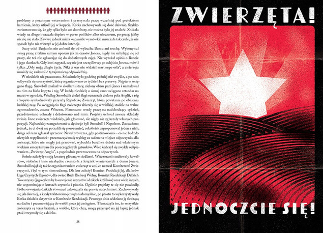Kolorowe ilustracje w książce