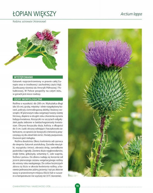 ZIOŁA Naturalne + Polskie Lecznicze Kosmetyczne Kulinarne Domowe SBM_3