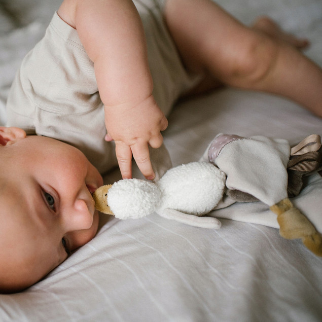 Przytulanka Kocyk GĄSKA Gęś 0M+ BabyOno 1556_8
