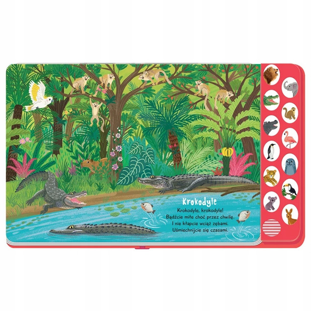 Słucham i Poznaję 3w1 Zwierzęta Na Wsi Zoo Książeczka z Dźwiękami Aksjomat_7