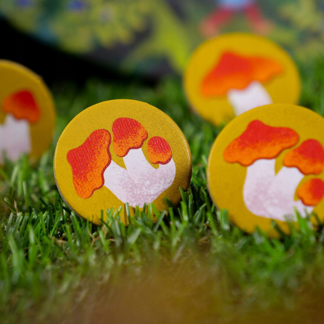 SPIŻARNIA WRÓŻKI Gra Karciana Pamięć Koncentracja 3+ Muduko_12