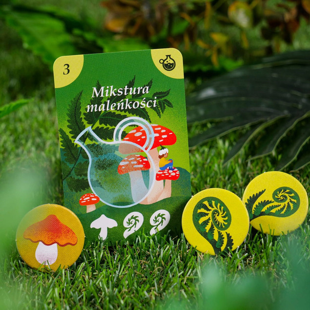 SPIŻARNIA WRÓŻKI Gra Karciana Pamięć Koncentracja 3+ Muduko_13