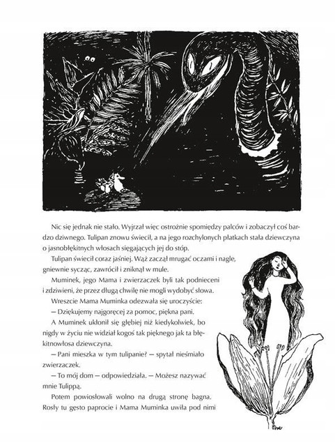 Pakiet 3x MUMINKI ZEBRANE TOMY 1-2 + ŚWIAT MUMINKÓW 3+ Nasza Księgarnia_3