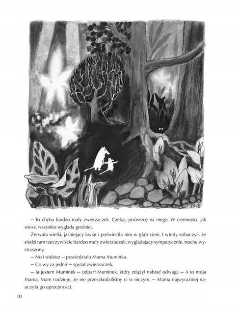 Pakiet MUMINKI Zebrane Tomy I-II (Barwione Brzegi) Tove Jansson_3