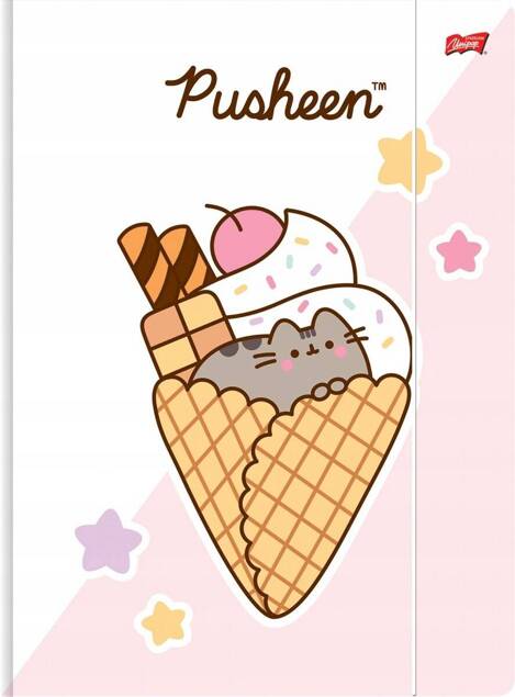 Teczka Rysunkowa A4 Z Gumką PUSHEEN Kot Kotek PUSZIN St. Majewski_1