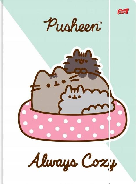 Teczka Rysunkowa A4 Z Gumką PUSHEEN Kot Kotek PUSZIN St. Majewski_2