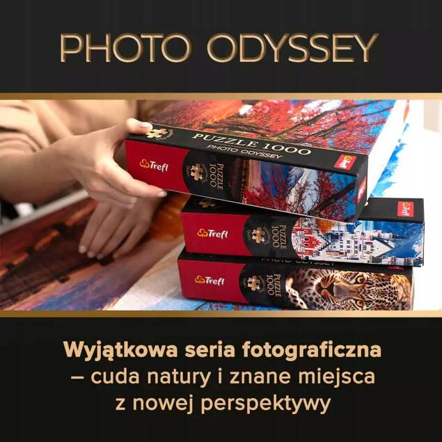 Puzzle 1000 Układanka NIEMCY Muzeum Bode w Berlinie Wyspa Muzeów 12+ Trefl_2